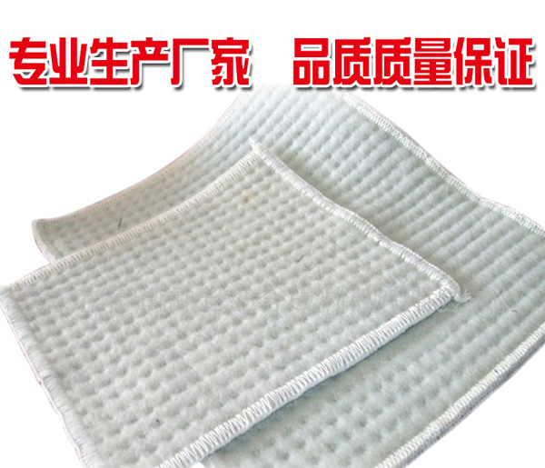膨润土防水毯(图3)